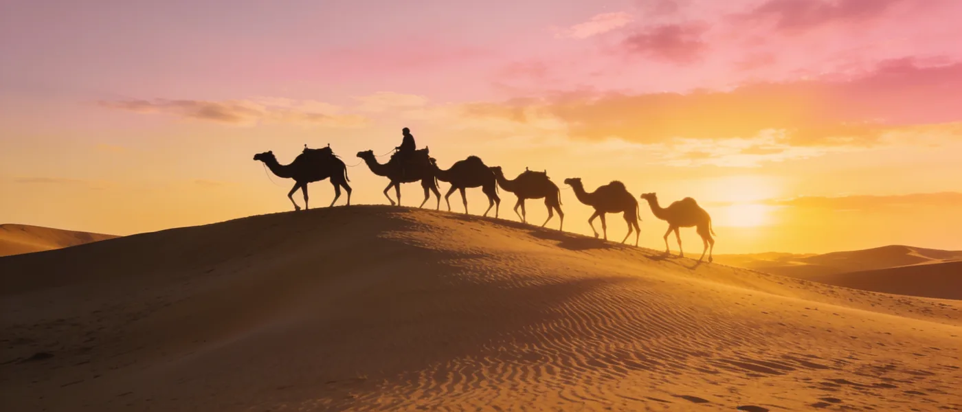 Image générée par Moqi à partir du texte : Bannière panoramique : des dunes au coucher du soleil, une caravane de chameaux en silhouette sur la crête.